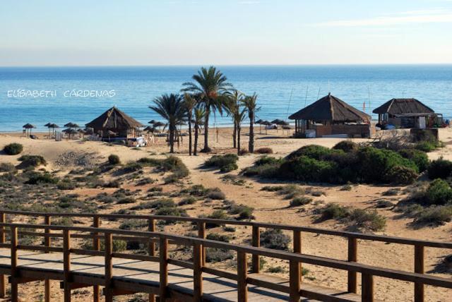 Mediterranean Beach Apartment 180º Sea & Island Views Санта-Пола Екстер'єр фото